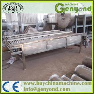 Stainless Steel Citrus Fruit Sorting Machine